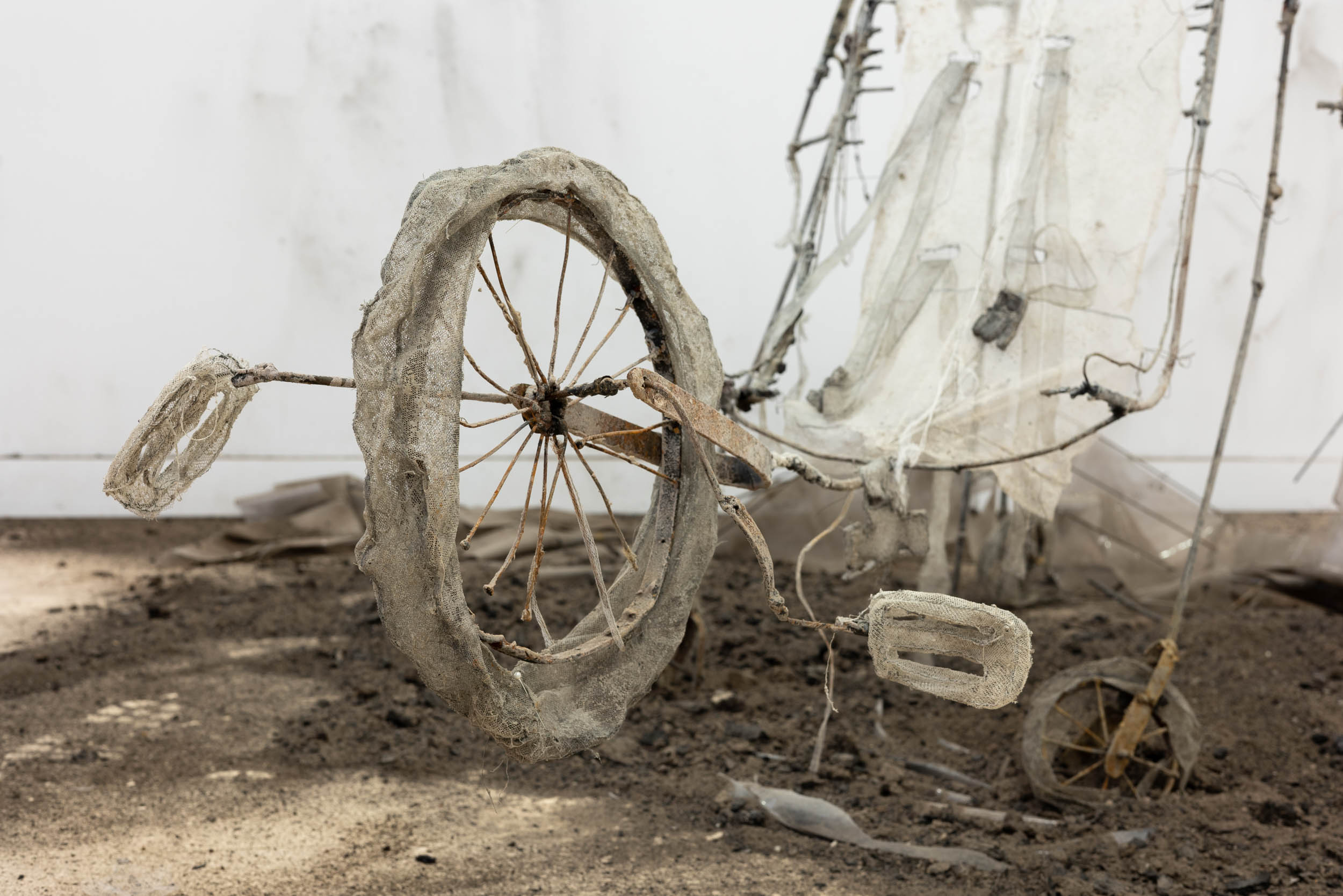 Jannick Deslauriers, Phasmes, 2023 © Jannick Deslauriers