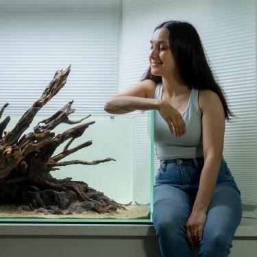 Woman beside a terrarium