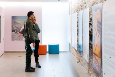 Couple viewing exhibition